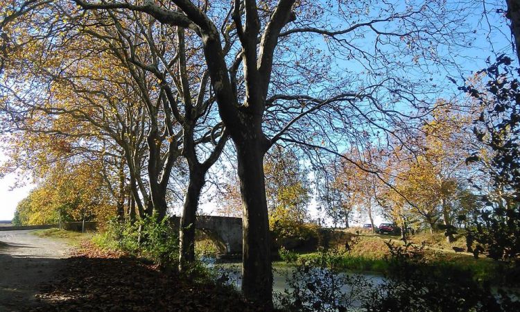 Canal du midi aude sud de france
